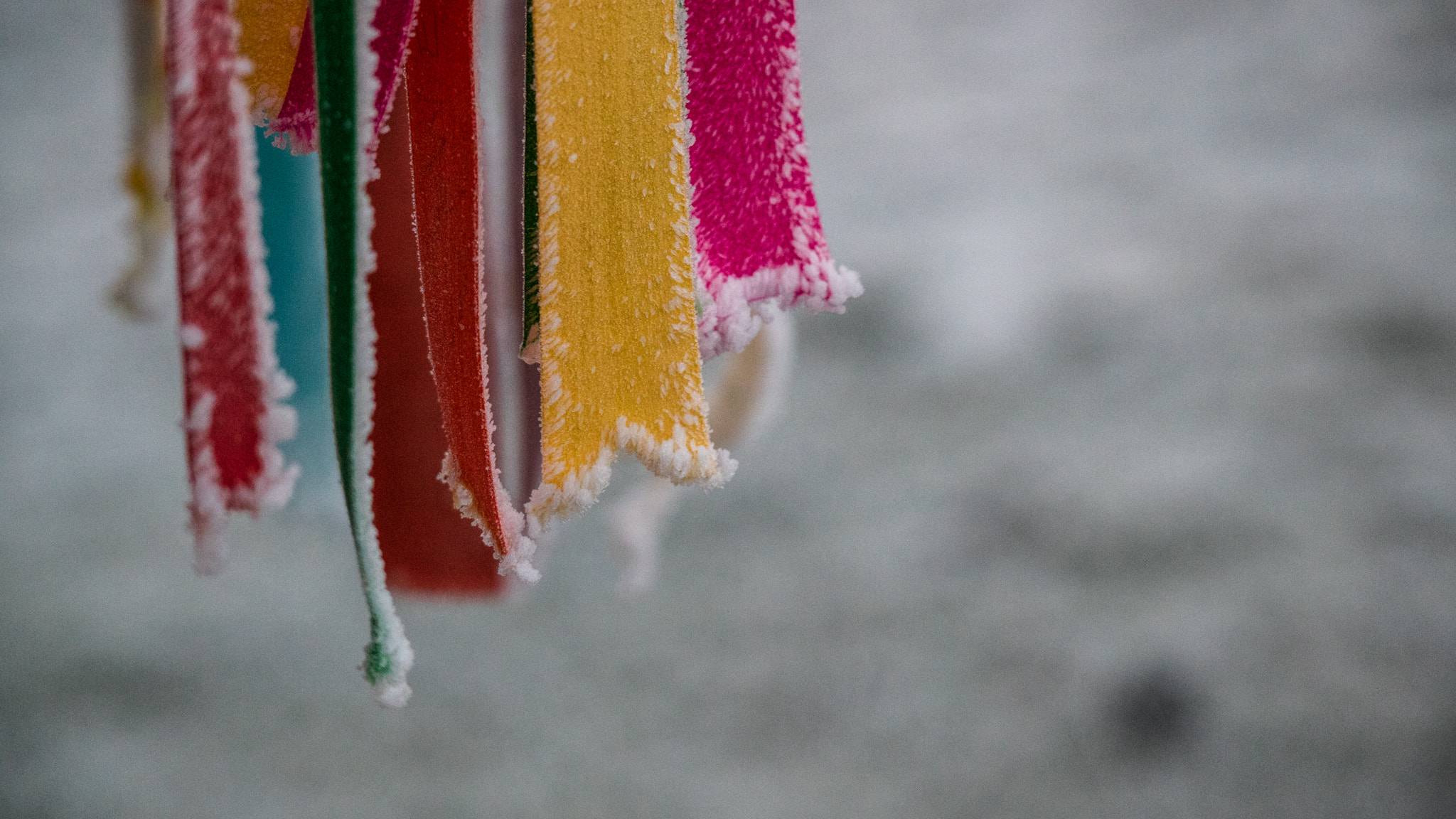 Canon EOS M3 sample photo. Frosty morning photography