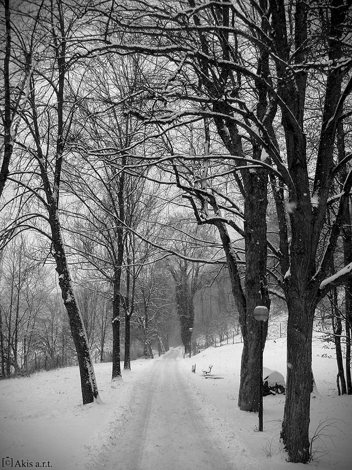 Olympus u790SW,S790SW sample photo. "many shades of grey"... photography