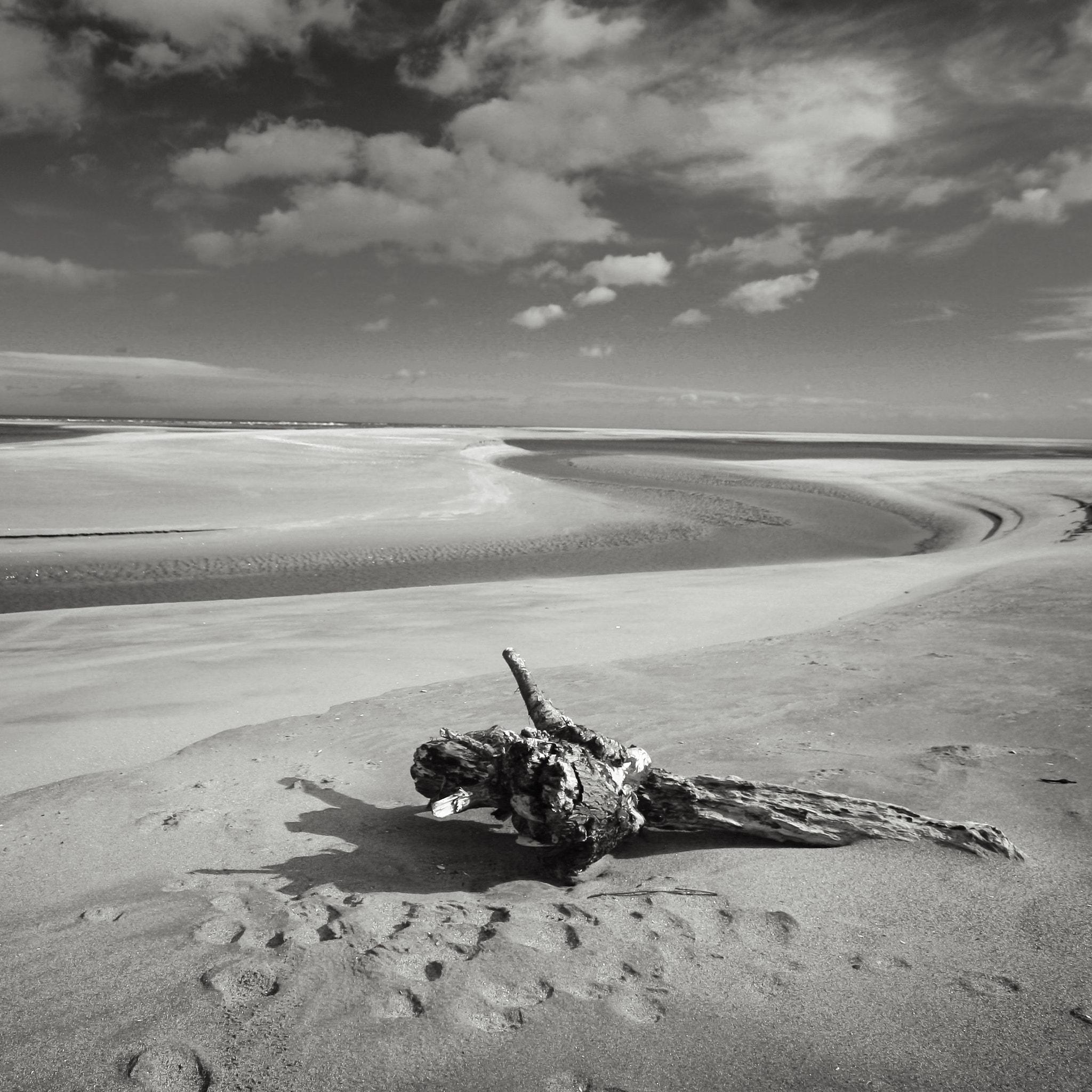 Sigma 10-20mm F3.5 EX DC HSM sample photo. Driftwood photography