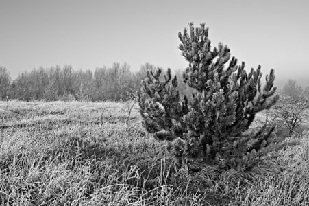 Sony Alpha DSLR-A380 + 35-70mm F4 sample photo. Mono winter landscape photography