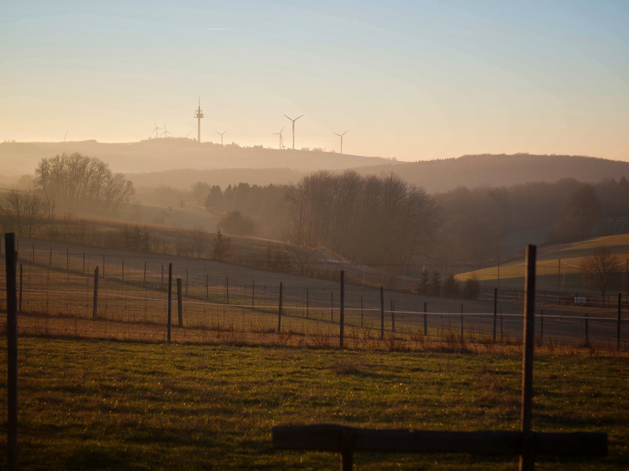 Olympus OM-D E-M1 Mark II + Olympus M.Zuiko Digital 45mm F1.8 sample photo. Evening sun on schwäbische alb photography