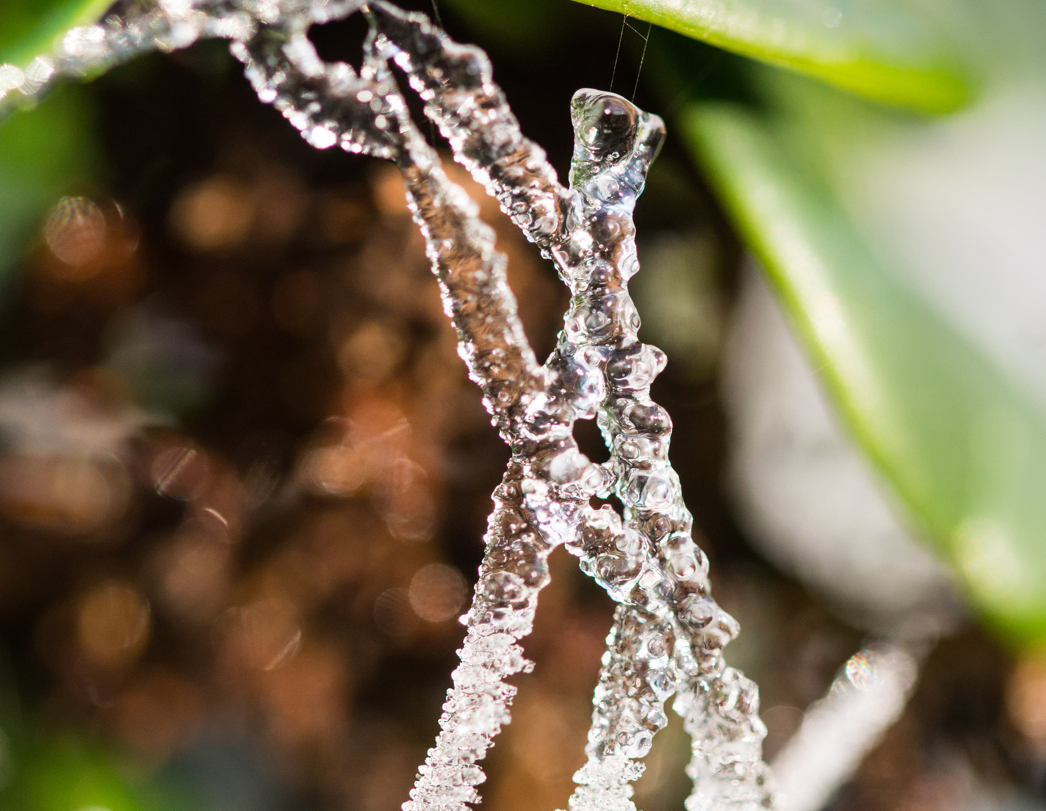 Sony SLT-A58 + 90mm F2.8 Macro SSM sample photo. Winter fairy tale photography