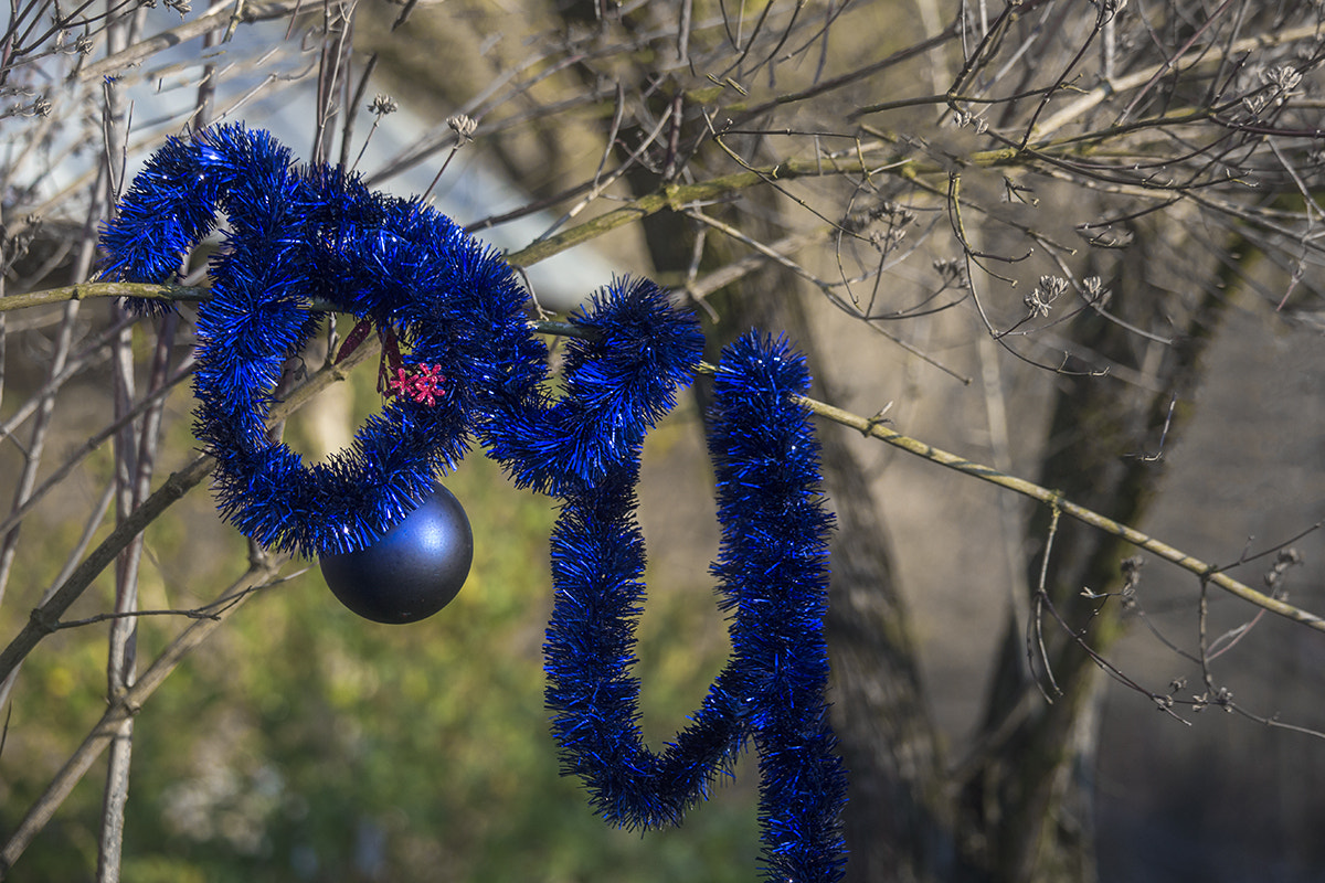 Canon EF-S 55-250mm F4-5.6 IS STM sample photo. Blue winter photography