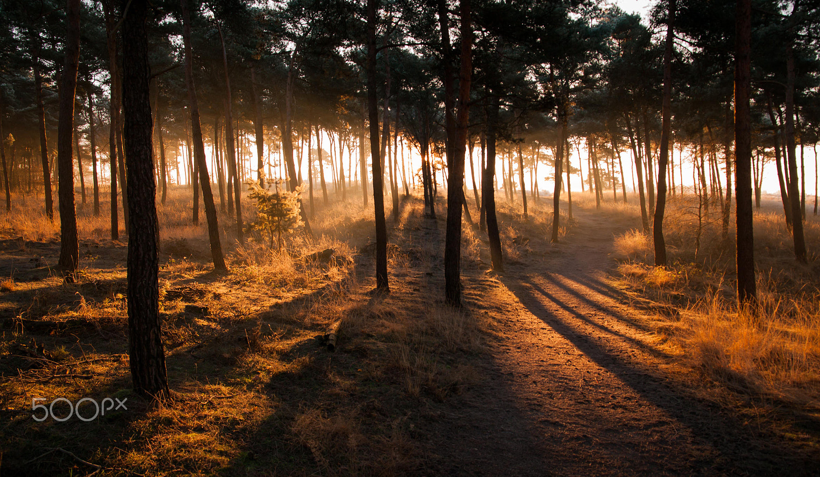 Pentax K-7 sample photo. 9 am photography