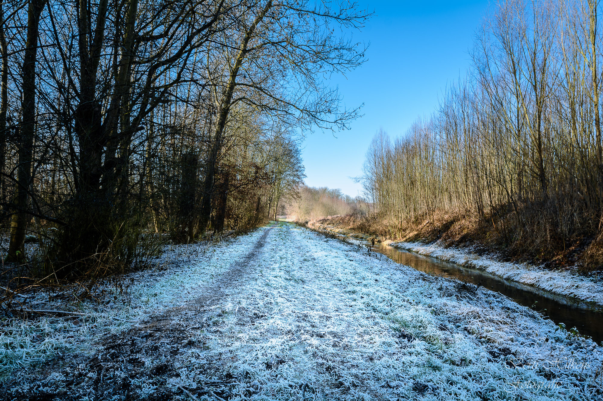 Tamron SP 15-30mm F2.8 Di VC USD sample photo. Winter photography