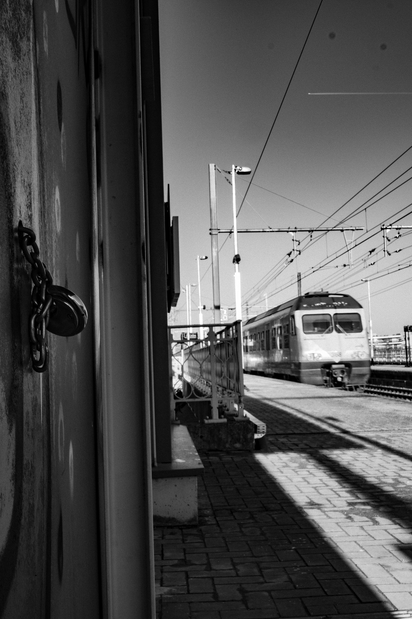Fujifilm X-T1 + Fujifilm XF 27mm F2.8 sample photo. Freedom is real photography