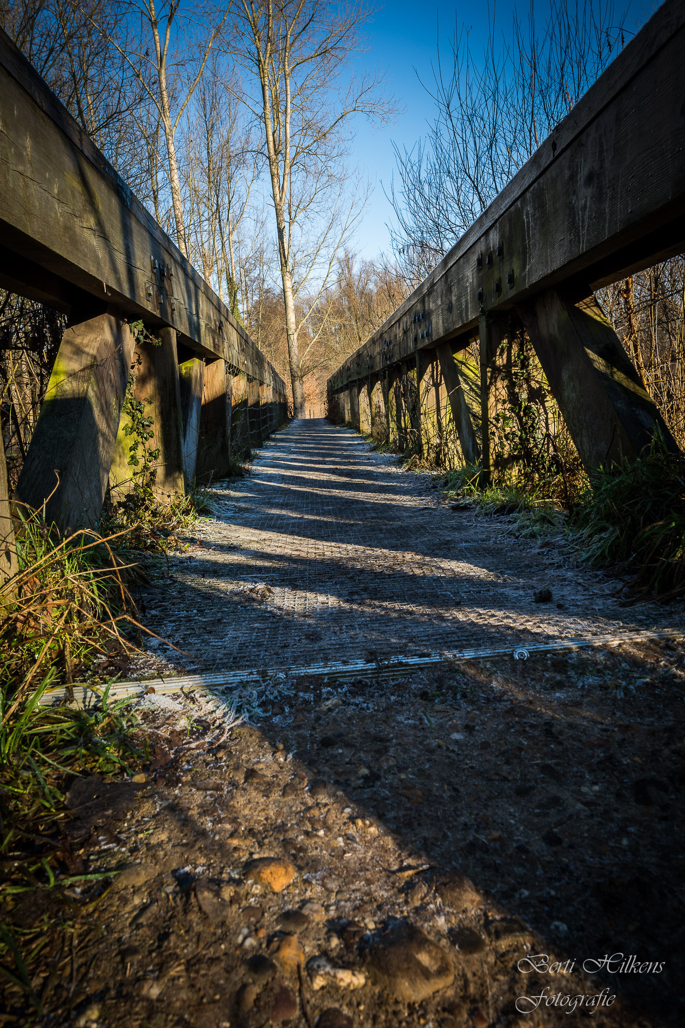 Tamron SP 15-30mm F2.8 Di VC USD sample photo. Winter photography