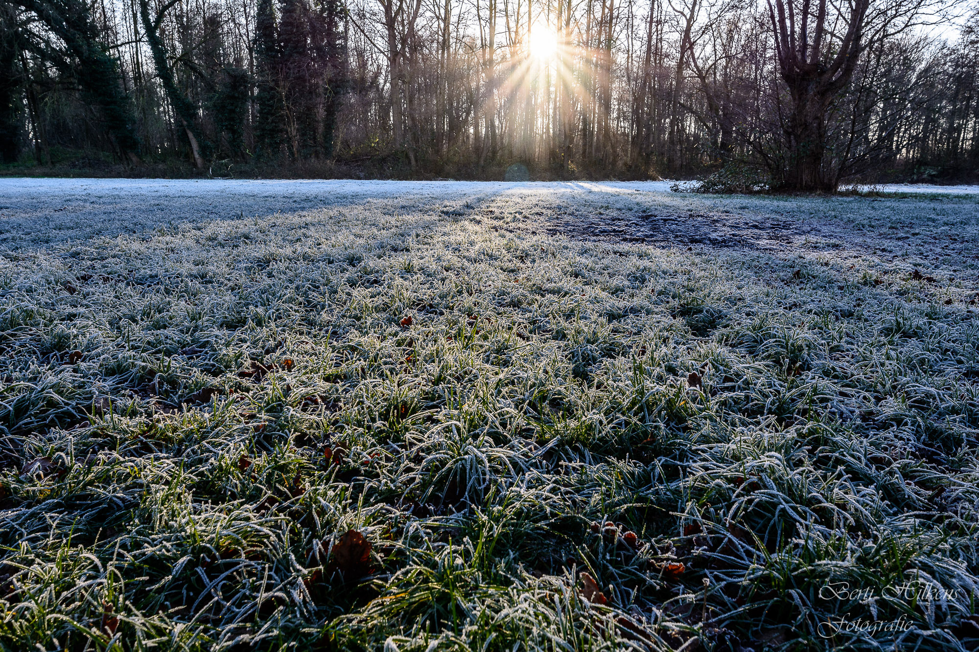 Tamron SP 15-30mm F2.8 Di VC USD sample photo. Winter photography
