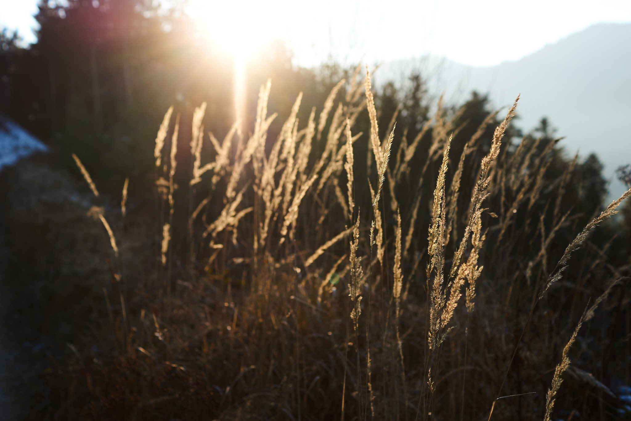 Sony SLT-A77 sample photo. Sunset photography