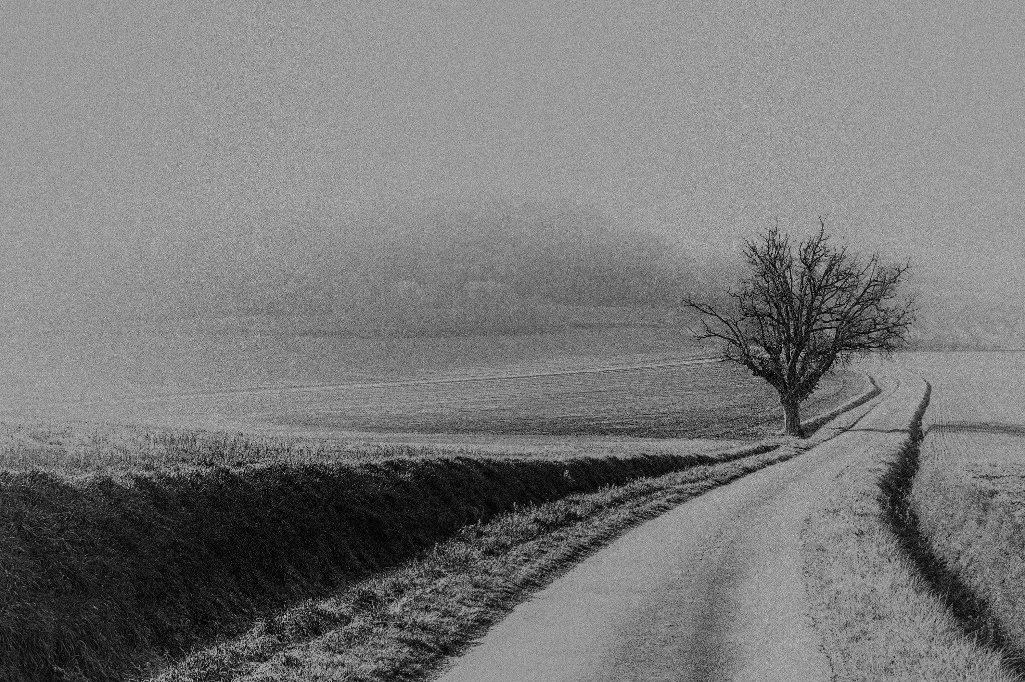 Nikon D3 + Nikon AF-S Nikkor 50mm F1.8G sample photo. Winding, uncertain but i go! photography