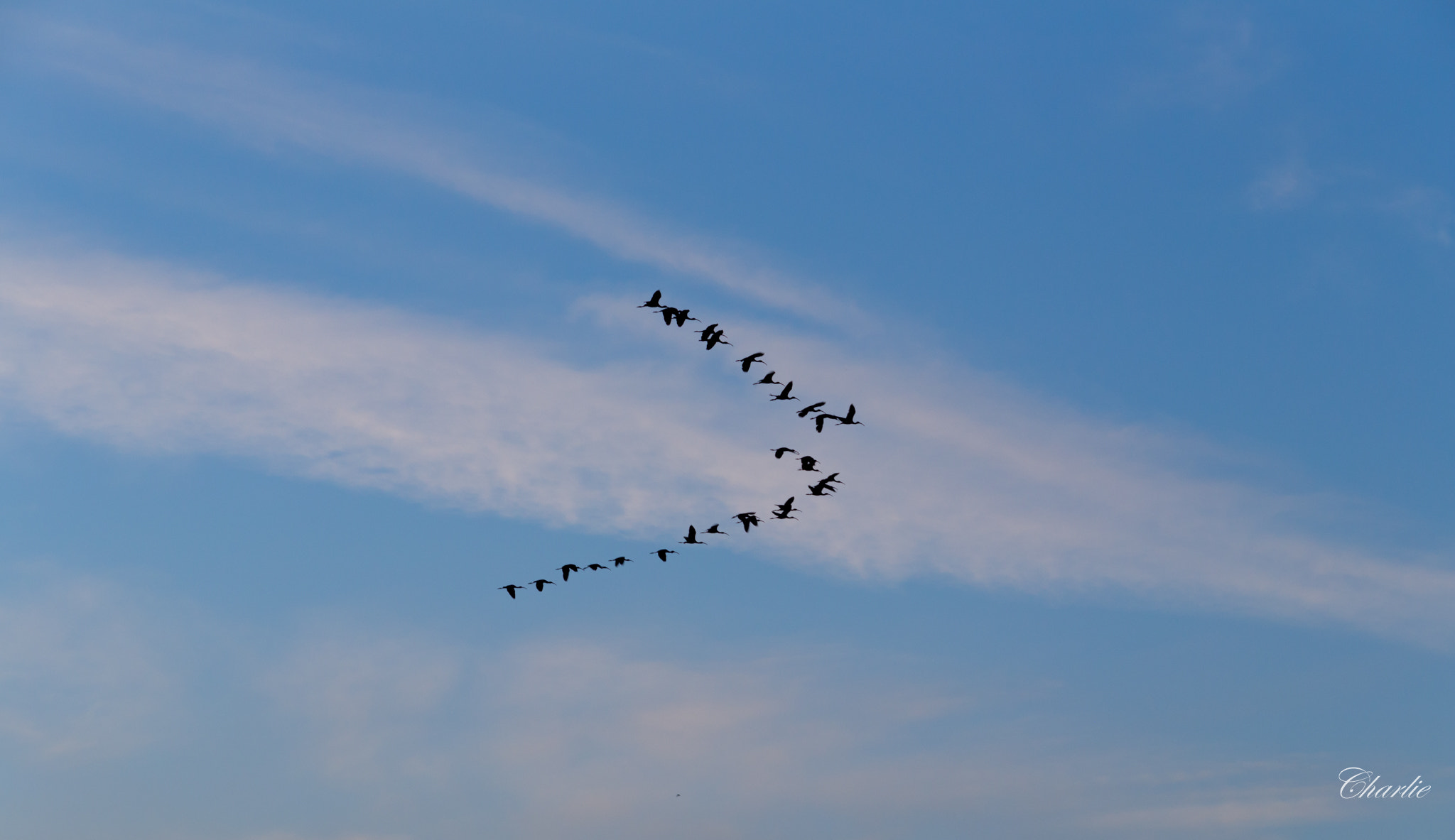 Canon EF 75-300mm f/4-5.6 USM sample photo. Img photography