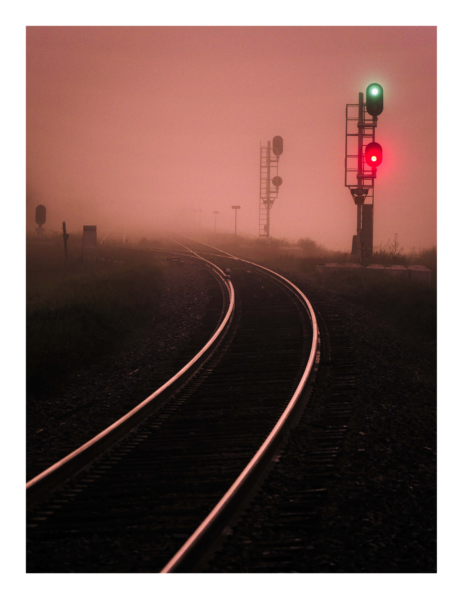 LEICA DG 100-400/F4.0-6.3 sample photo. Burning through the fog photography