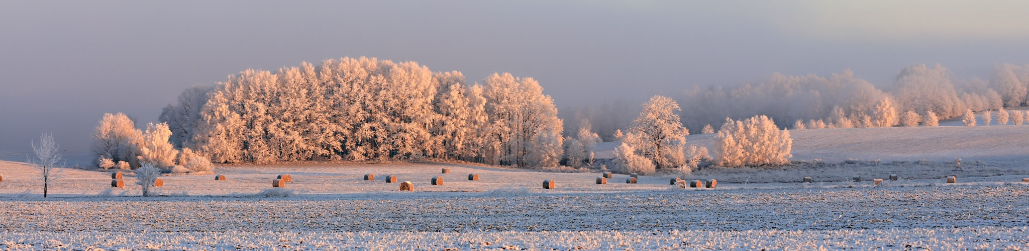 Canon EOS 5DS sample photo. Malíkov nad nežárkou photography