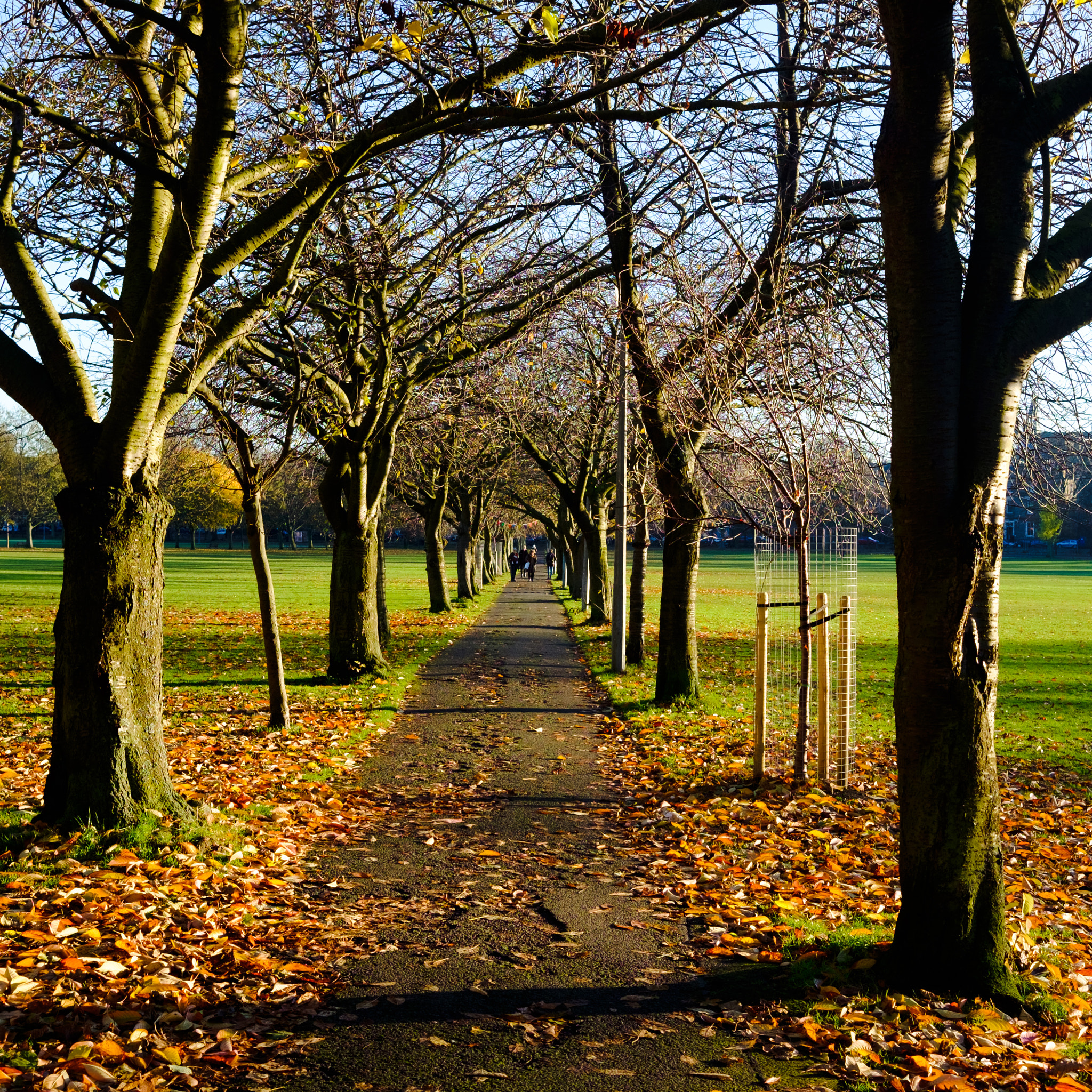Fujifilm X-E2 + Fujifilm XF 27mm F2.8 sample photo. End of autumn photography