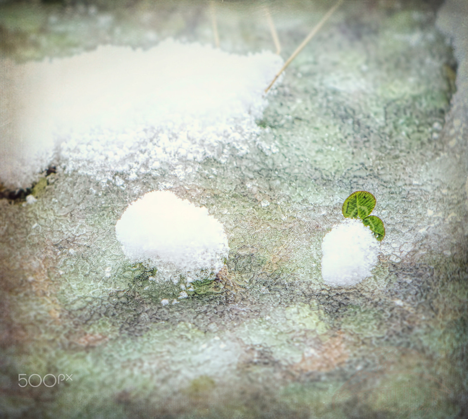 Nikon AF-S DX Micro-Nikkor 85mm F3.5G ED VR sample photo. A little peace photography