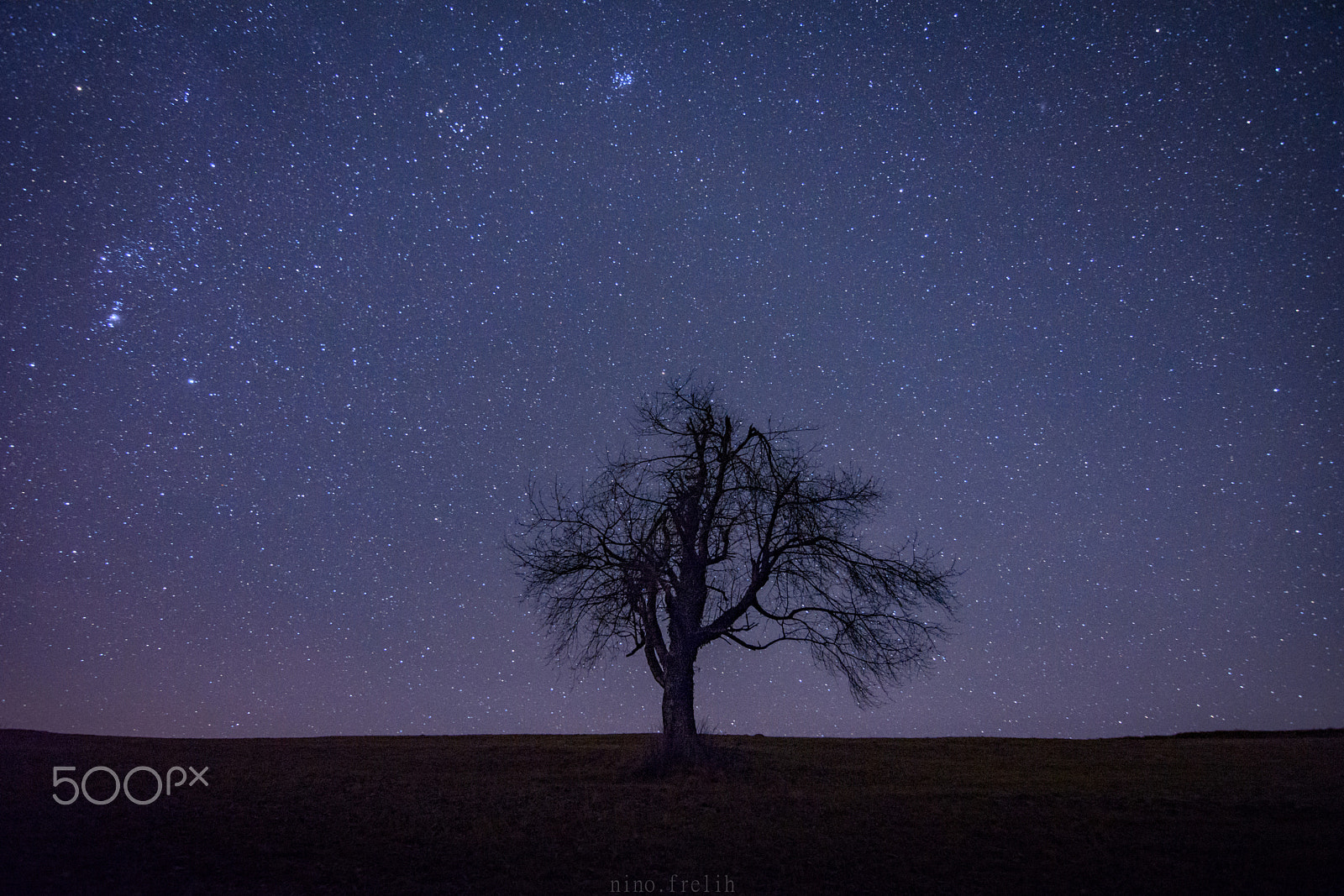 Nikon D5200 + Tokina AT-X 11-20 F2.8 PRO DX (AF 11-20mm f/2.8) sample photo. Tree underneath the stars photography