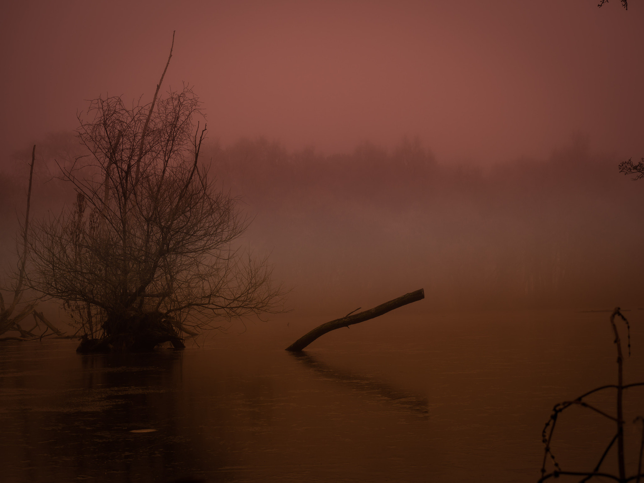 Olympus M.Zuiko Digital ED 14-42mm F3.5-5.6 EZ sample photo. Misty early morning lake photography