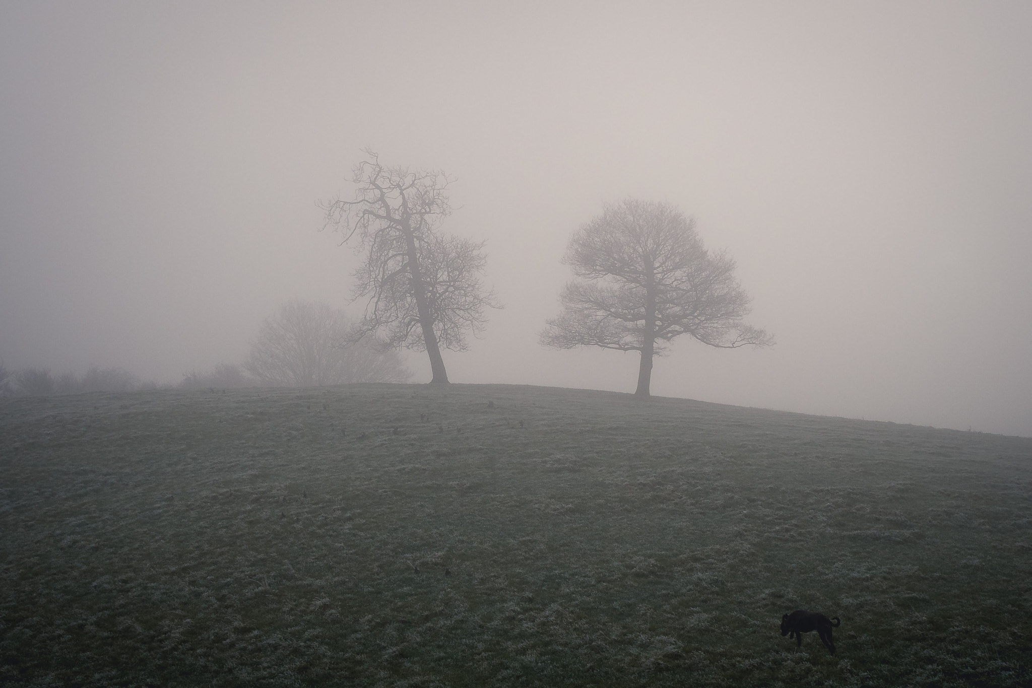 Olympus M.Zuiko Digital ED 14-42mm F3.5-5.6 EZ sample photo. Foggy landscape photography