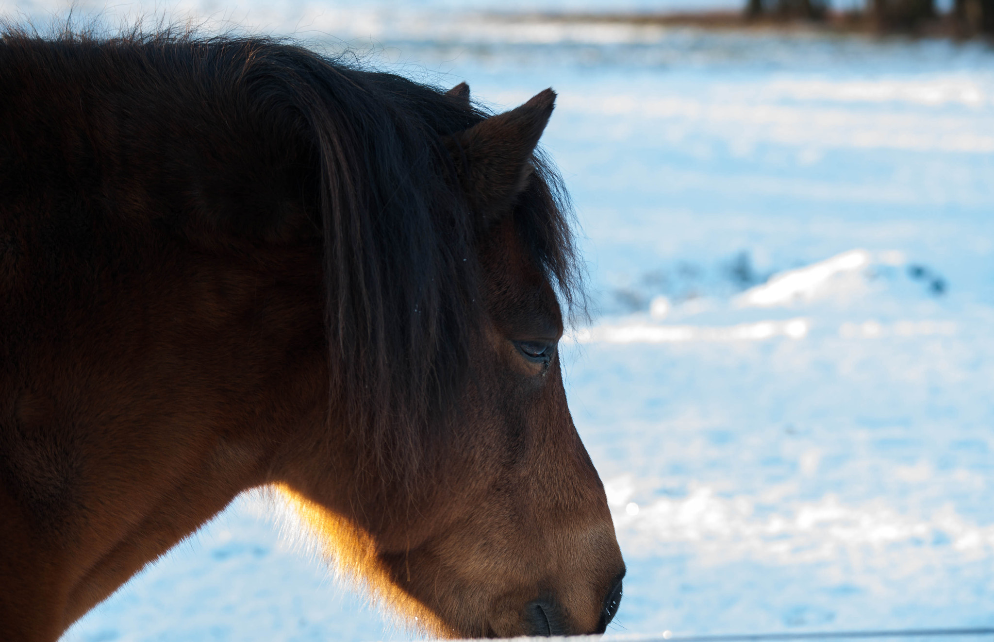 Sigma 120-400mm F4.5-5.6 DG OS HSM sample photo