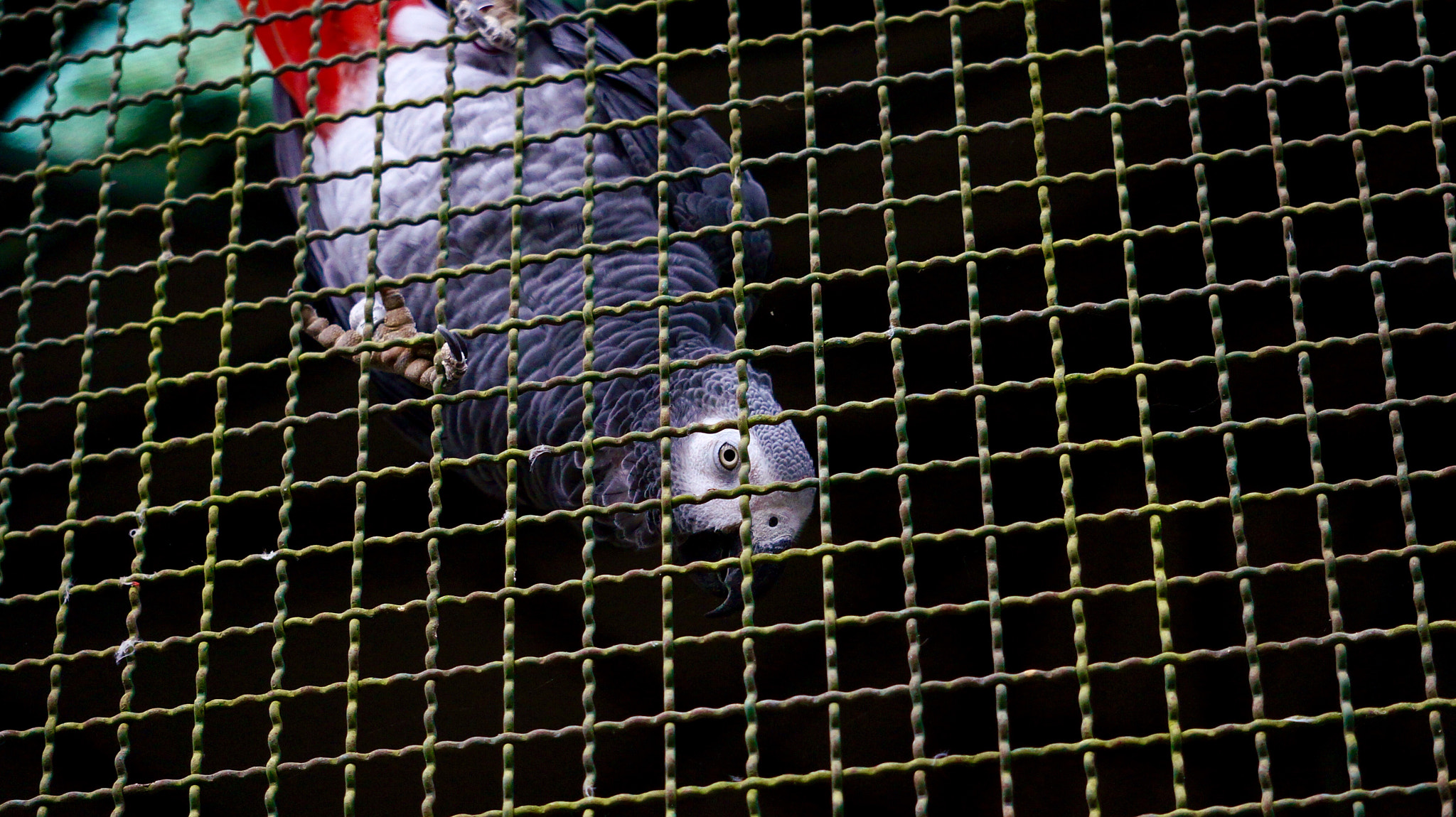Sony E 55-210mm F4.5-6.3 OSS sample photo. Hello! there! photography