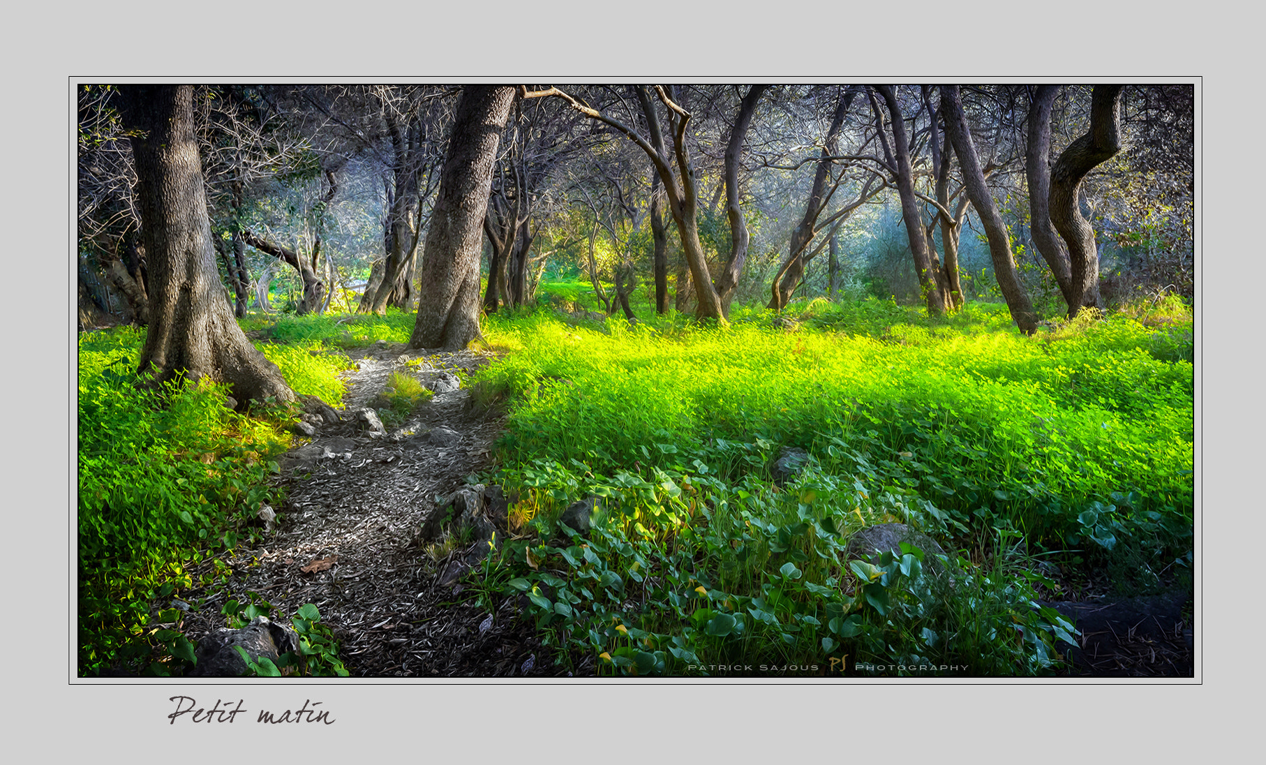 Canon EOS-1Ds Mark III sample photo. Petit matin photography