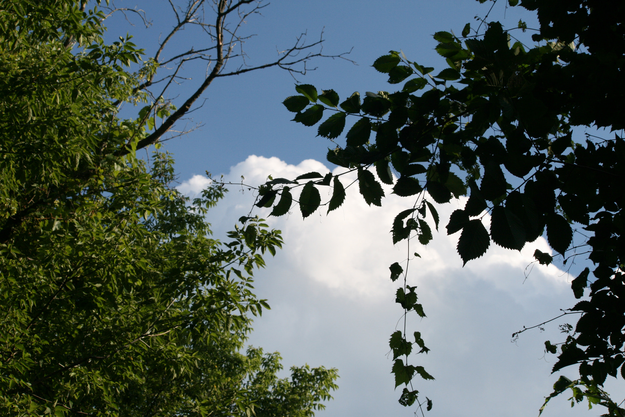 Canon EF-S 55-250mm F4-5.6 IS sample photo. The sky photography
