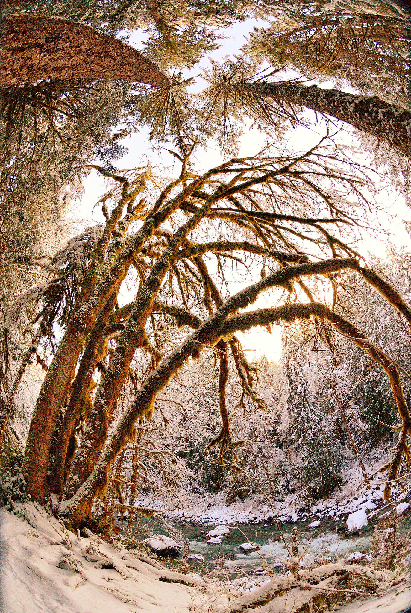 Nikon AF DX Fisheye-Nikkor 10.5mm F2.8G ED sample photo. Winter @ the golden hour photography