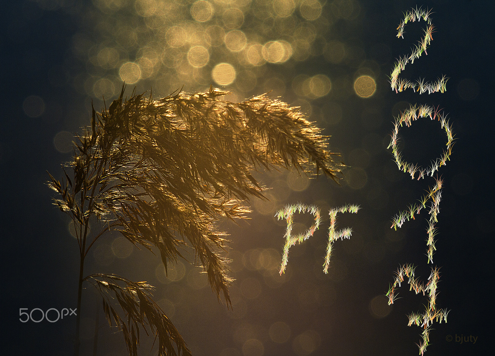 Canon EF 35-80mm f/4-5.6 sample photo. Pf 2017 photography