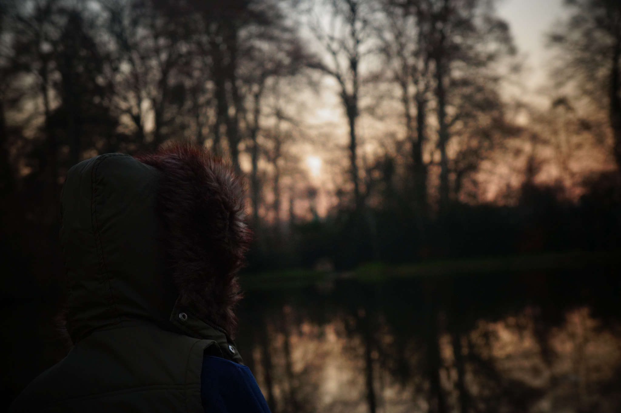 Sony E 18-55mm F3.5-5.6 OSS sample photo. Dusk photography