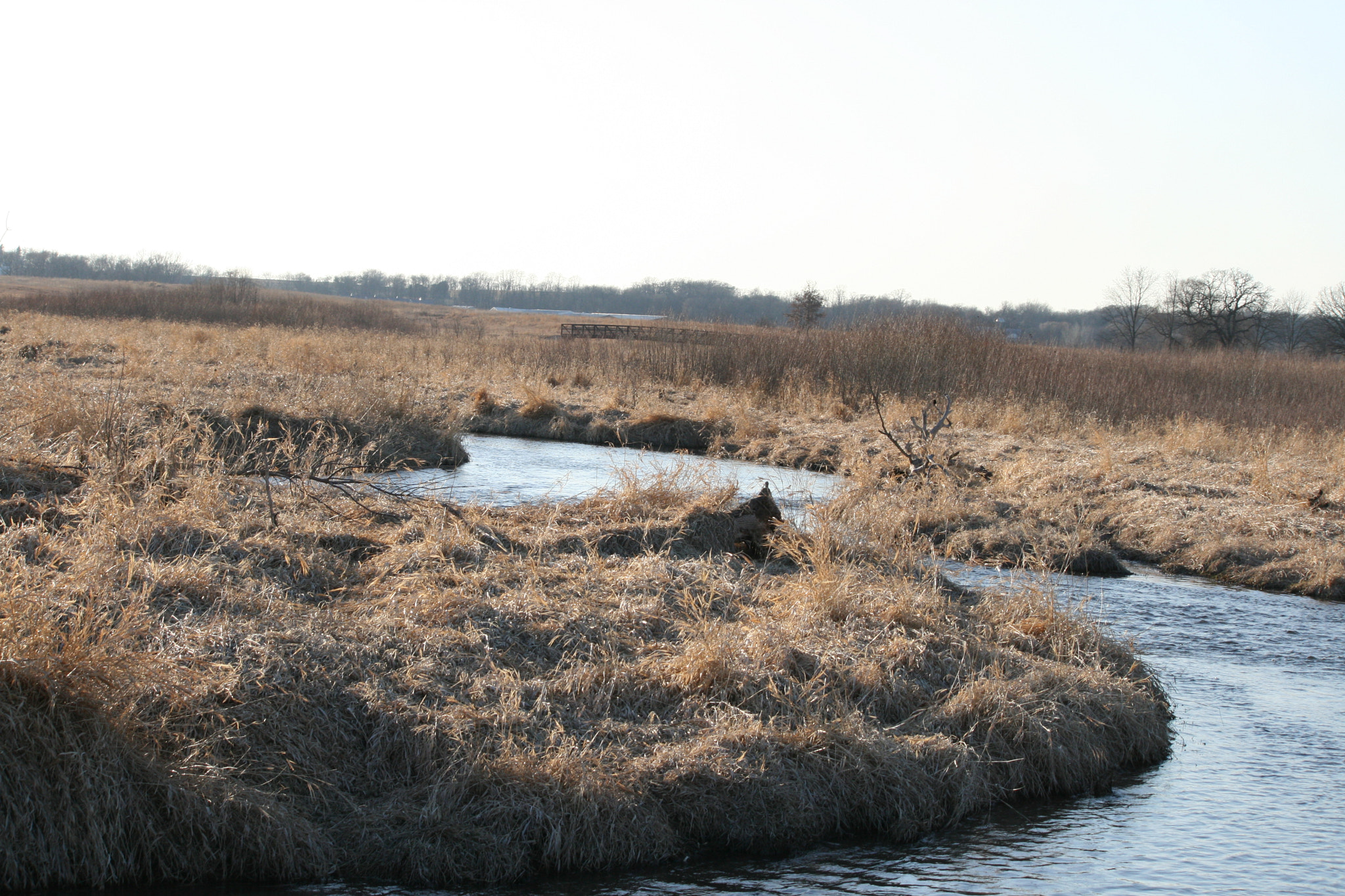 Canon EF-S 55-250mm F4-5.6 IS sample photo. The creek photography