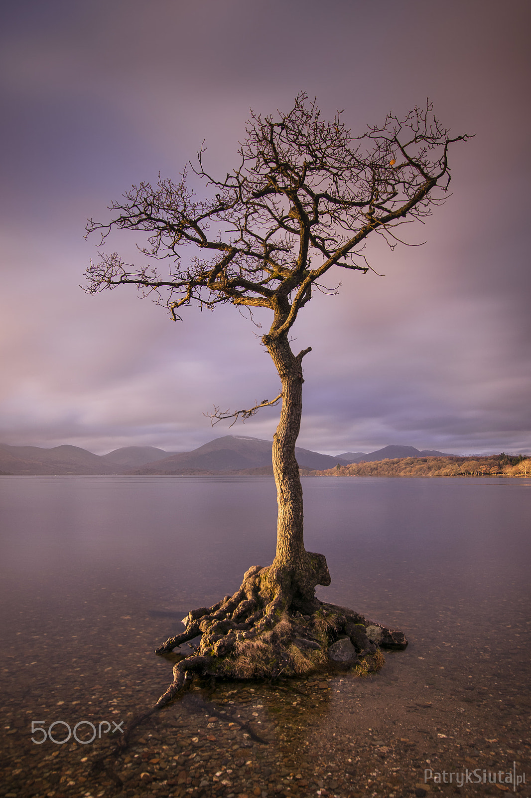 Nikon D3300 + Sigma 10-20mm F3.5 EX DC HSM sample photo. Balmaha, scotland photography