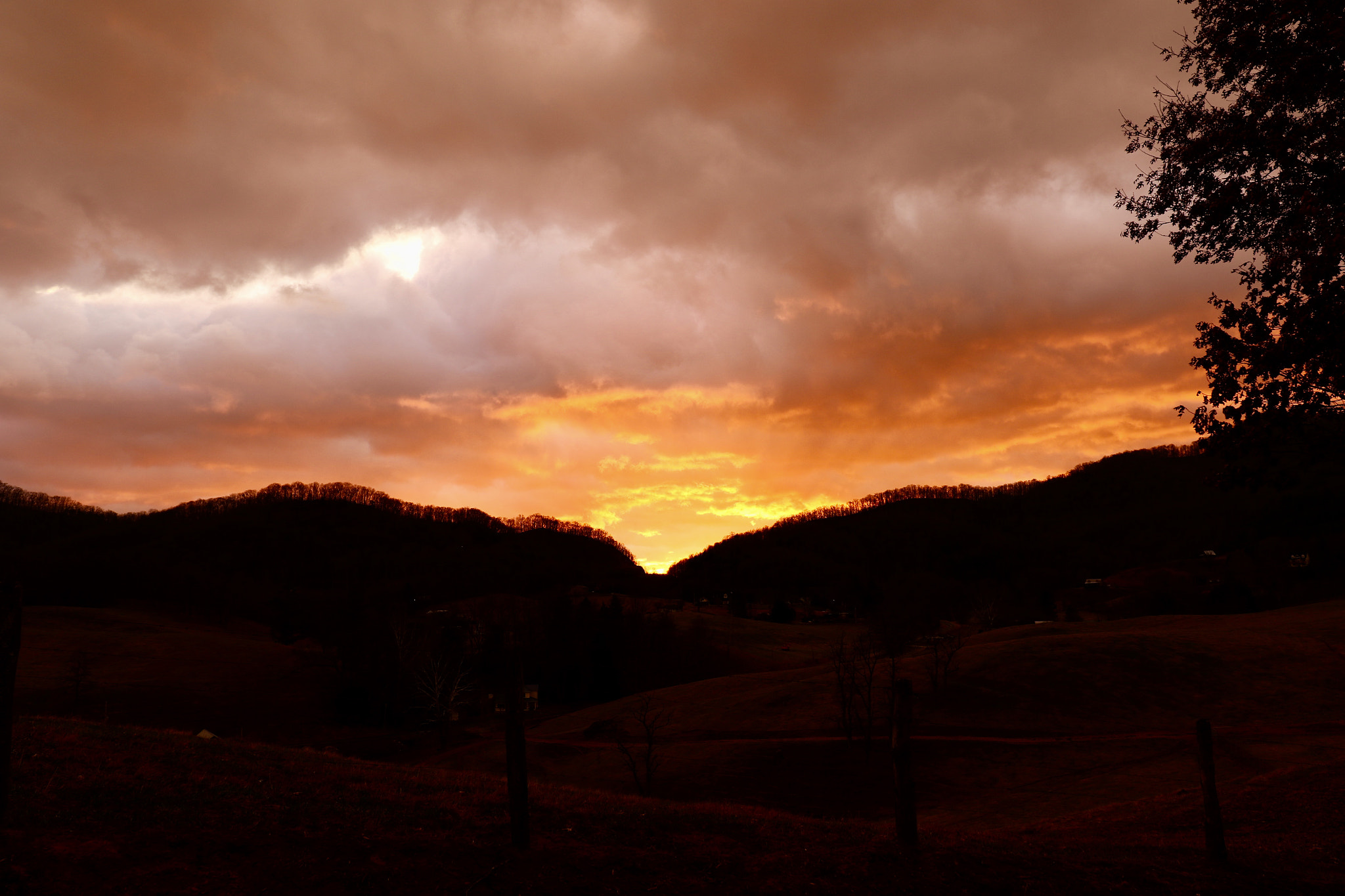 Canon EF 16-35mm F4L IS USM sample photo