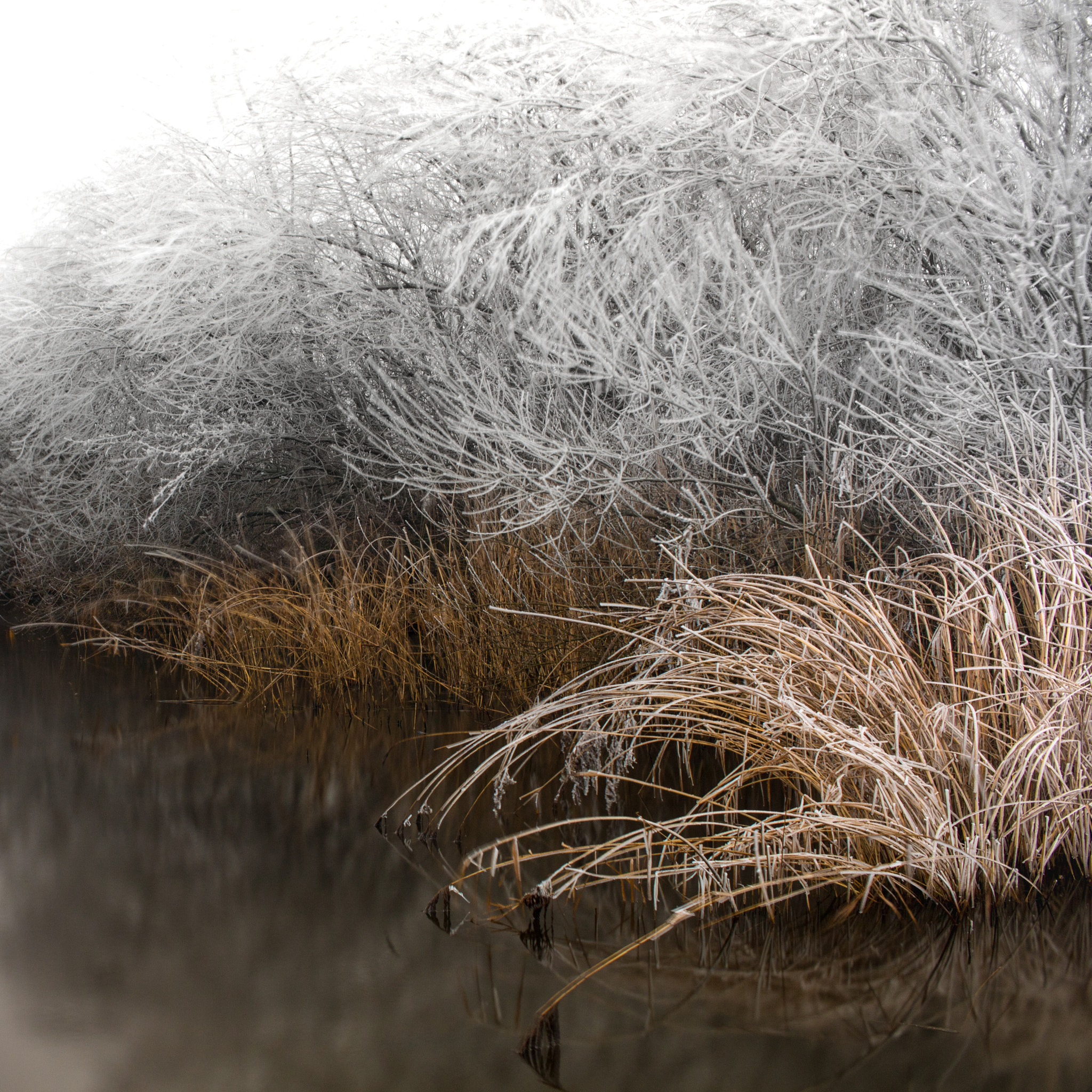 Canon EF-S 24mm F2.8 STM sample photo. Winter gradients photography