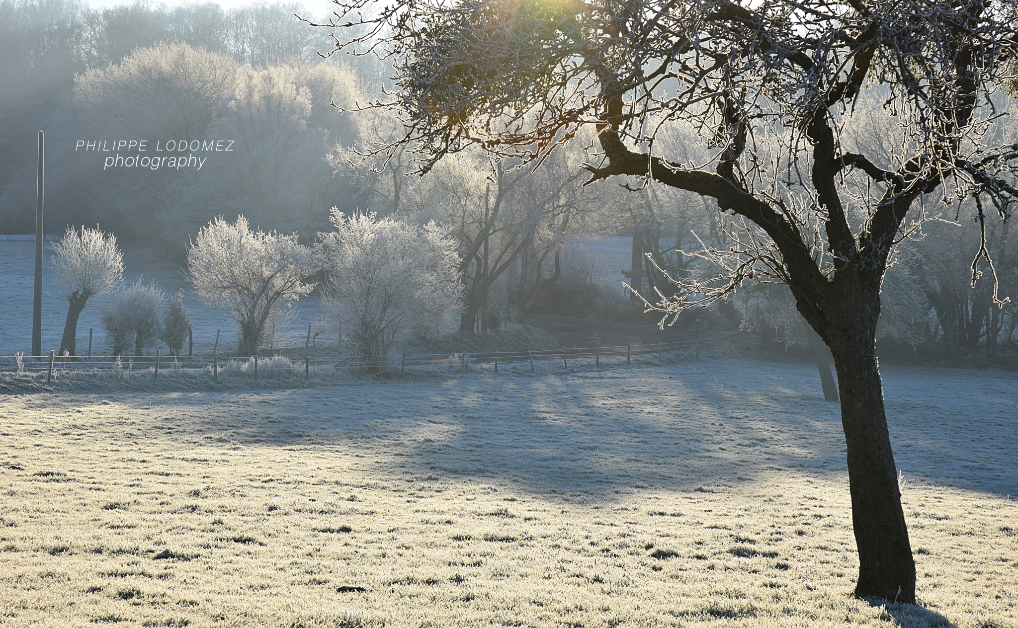 Sigma 17-70mm F2.8-4 DC Macro OS HSM | C sample photo. Winter is there photography