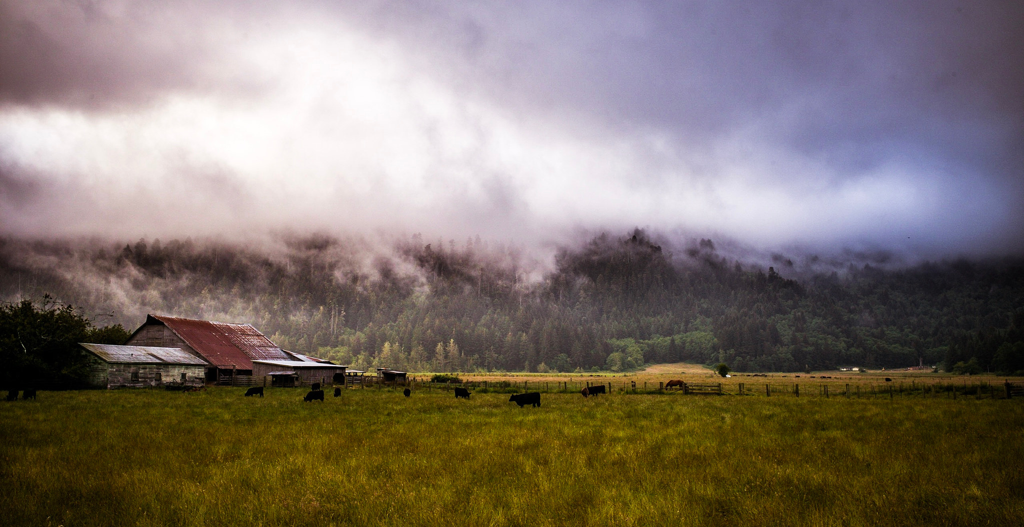 Leica Elmarit-M 28mm F2.8 ASPH sample photo. Fog rolling in over the hills in oregon, usa. photography