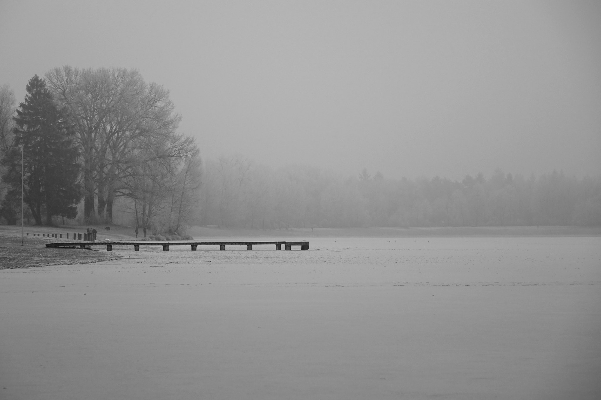 Sony Cyber-shot DSC-RX10 + Sony 24-200mm F2.8 sample photo. The beauty of stillness photography