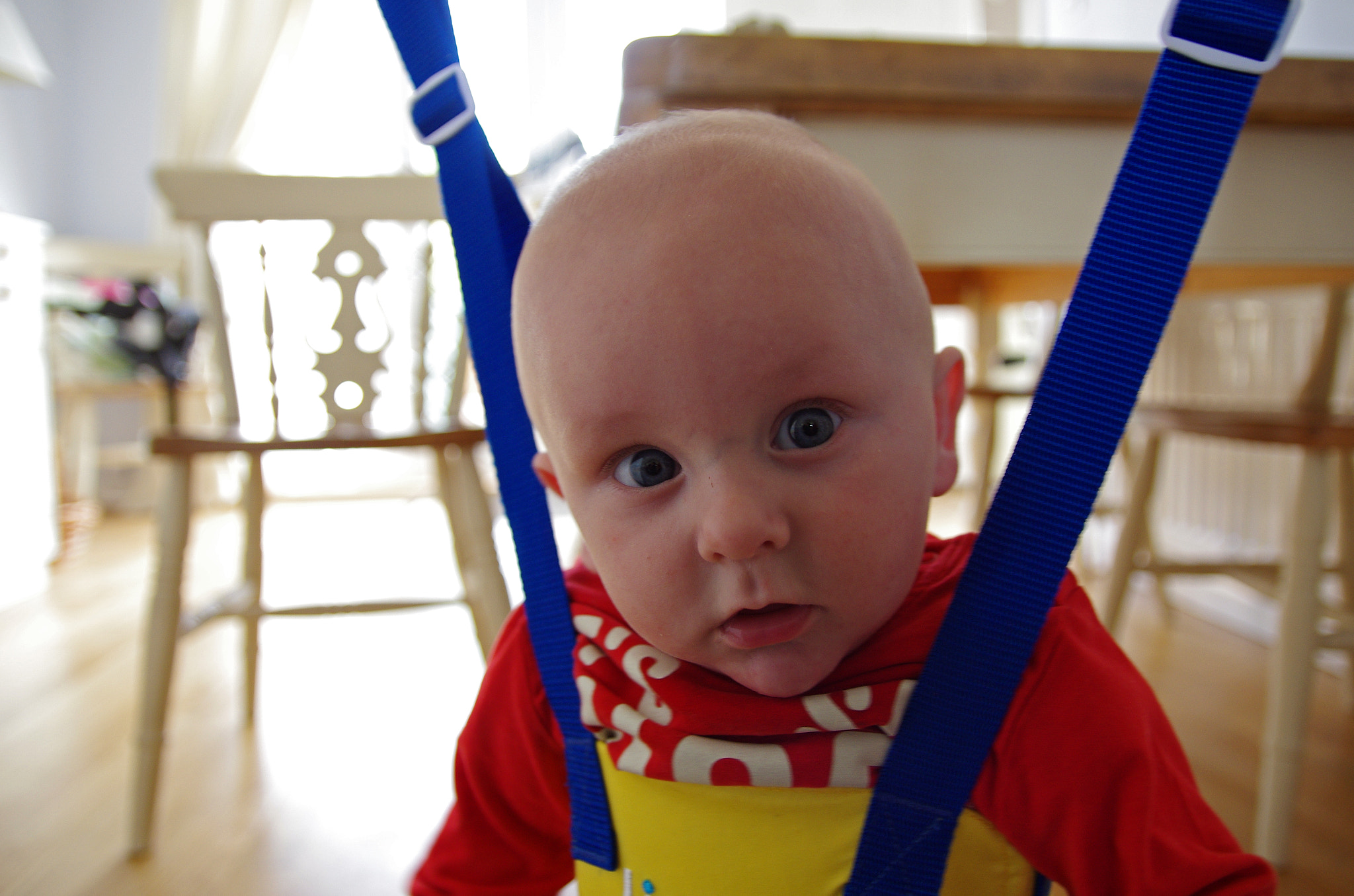 Sigma 17-50mm F2.8 EX DC HSM sample photo. Bouncy bouncy photography