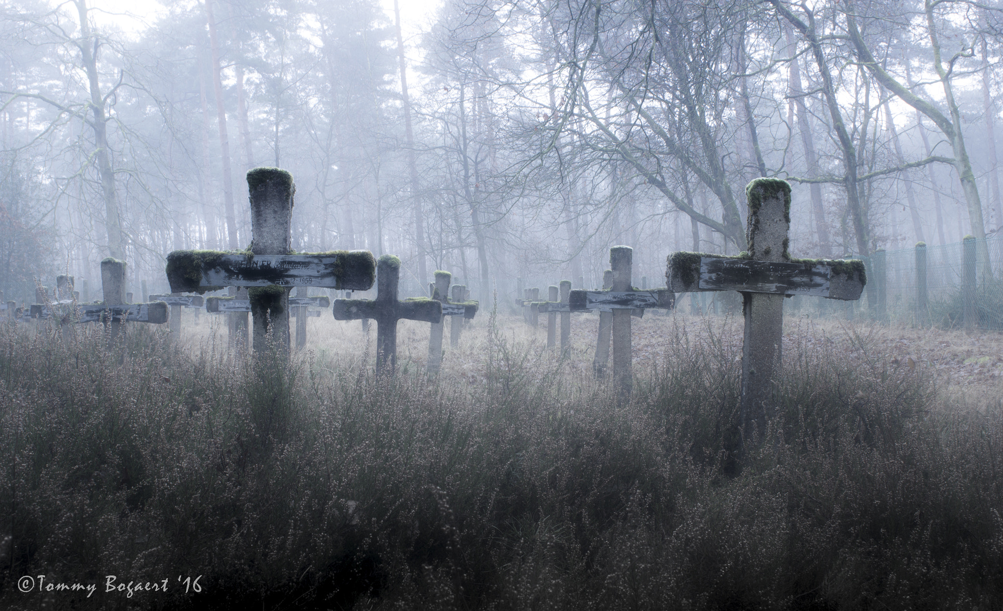 Canon EOS 550D (EOS Rebel T2i / EOS Kiss X4) + Canon EF 28mm F2.8 sample photo. Cemetery of the insane photography