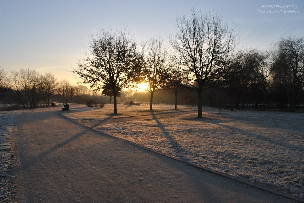 Nikon D3000 sample photo. Sunrise photography