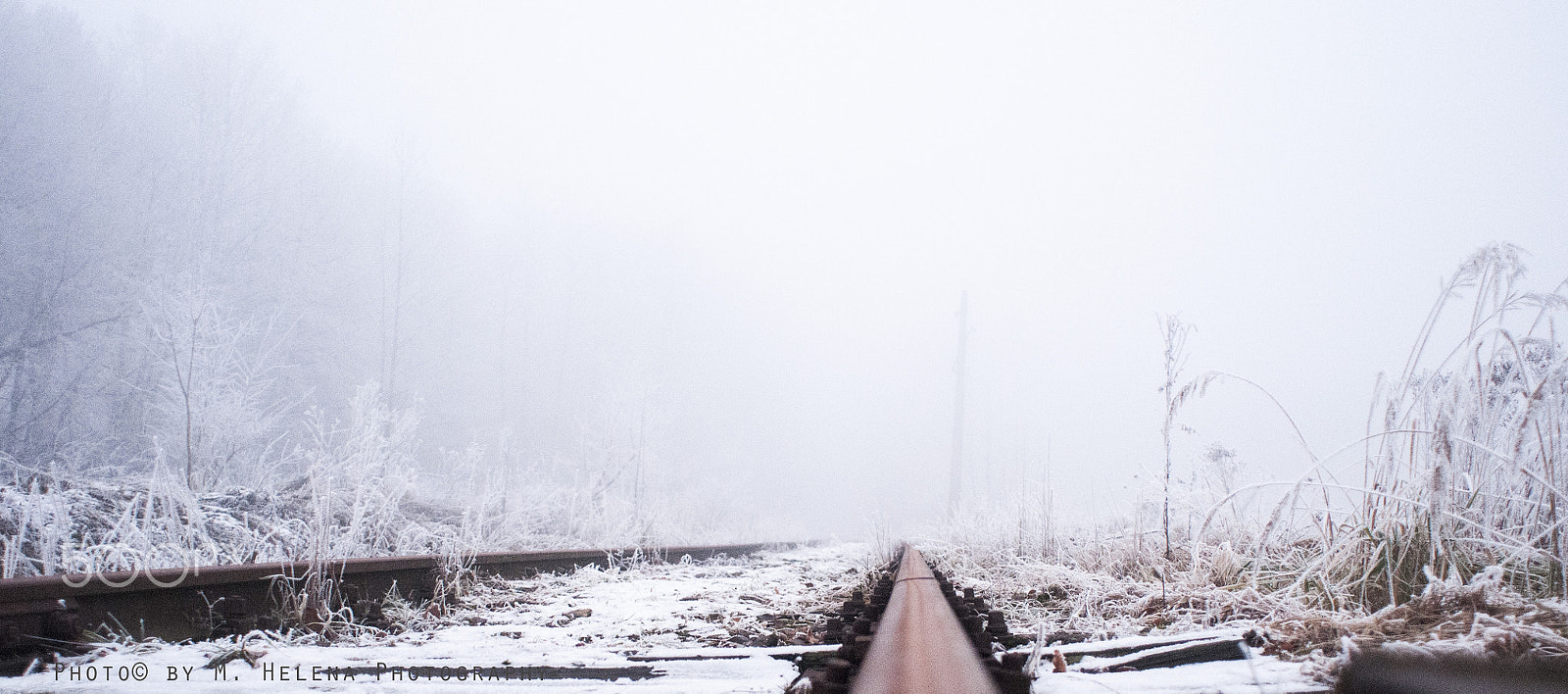 Nikon D300 sample photo. Tracks in the fog photography