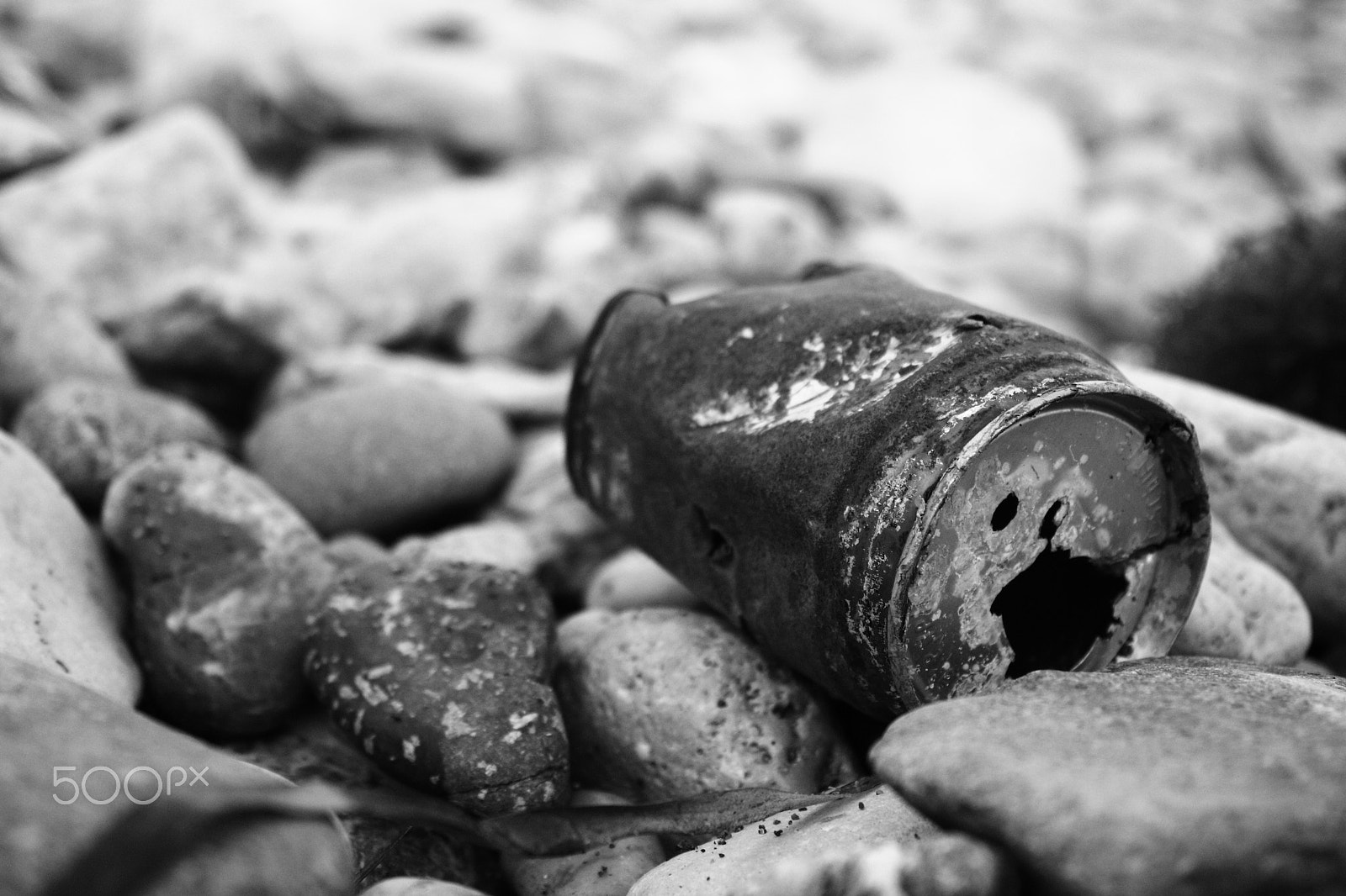 Canon EOS 760D (EOS Rebel T6s / EOS 8000D) sample photo. Rusty ol' can photography