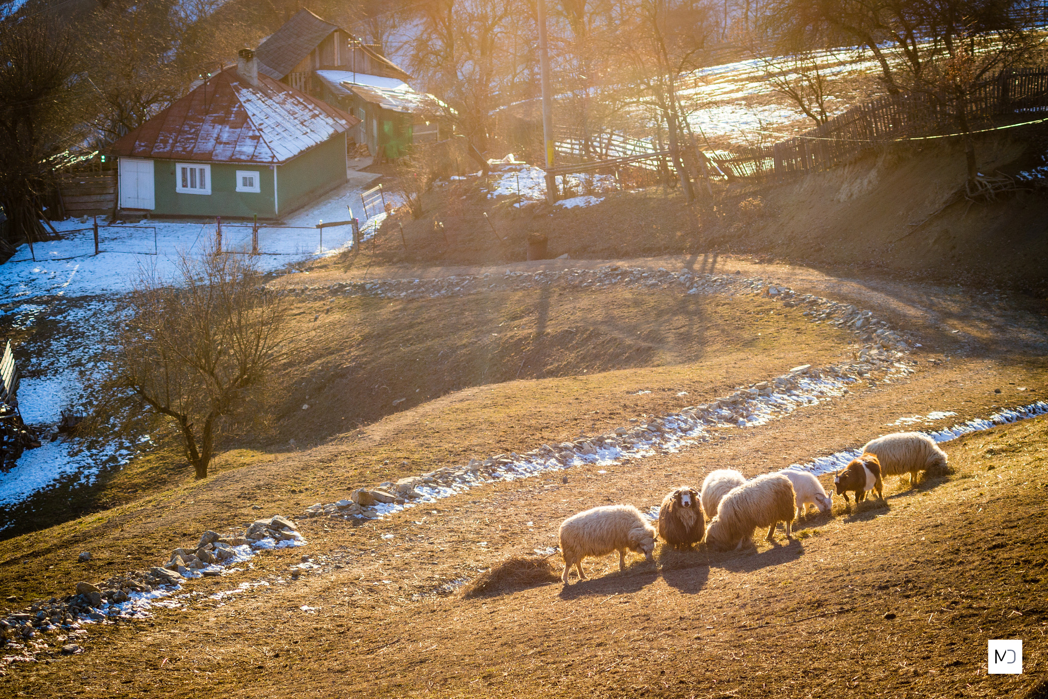 Sony a99 II sample photo. Rural photography