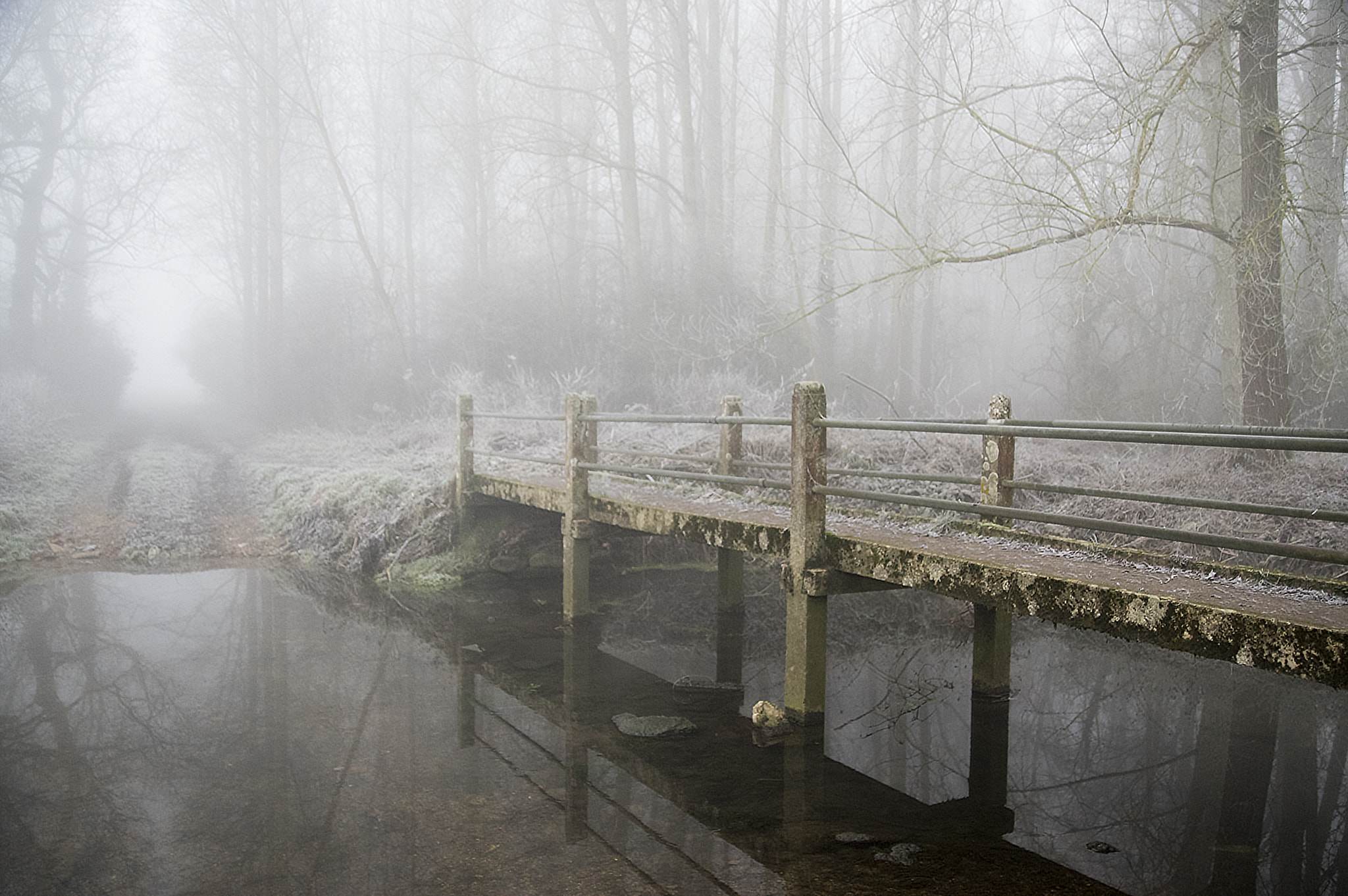 Sigma 17-50mm F2.8 EX DC HSM sample photo. Bridge in the mist photography