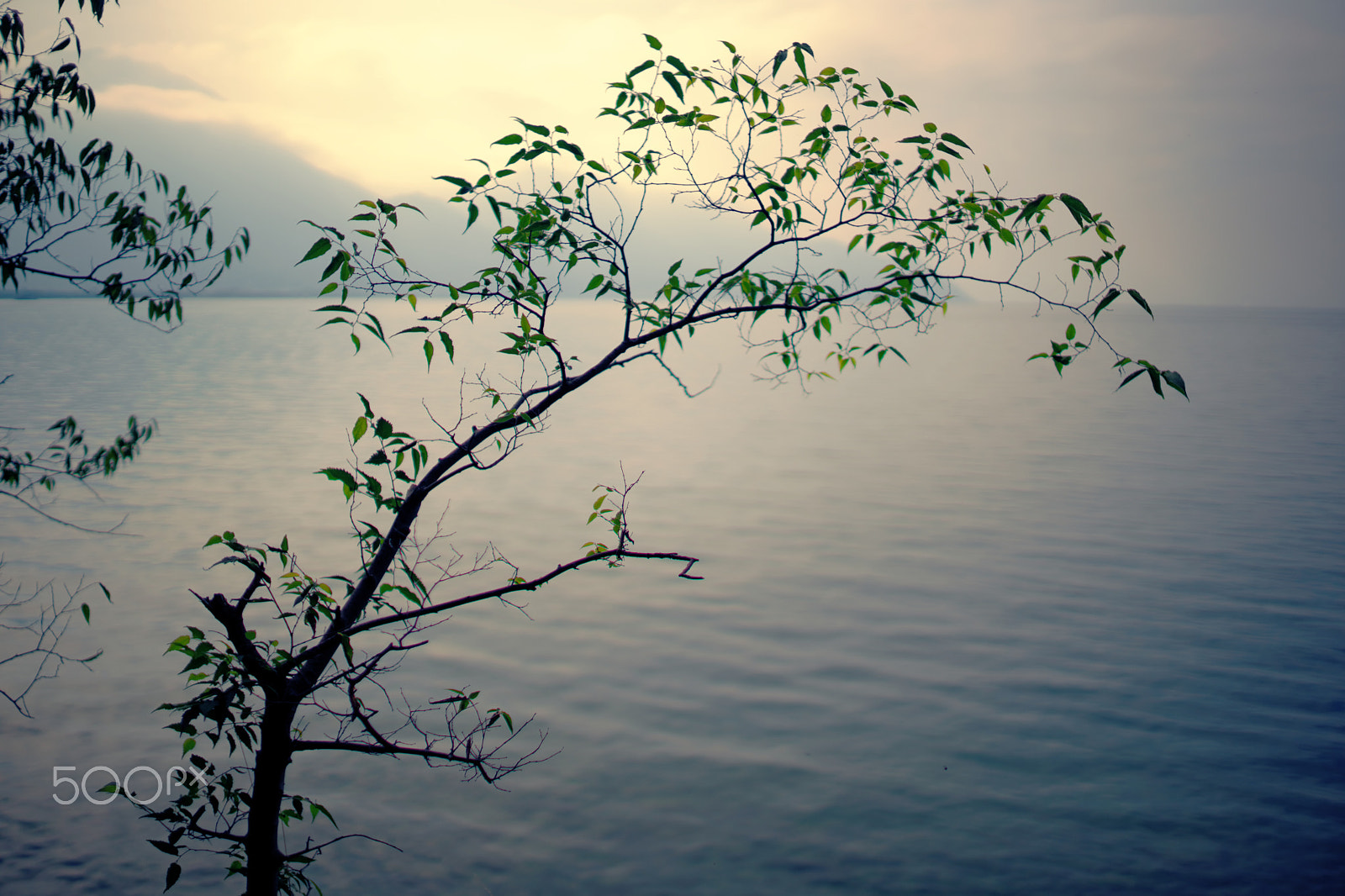 Sony a99 II sample photo. Veytaux-chillon, lac léman, 26-09-2015 (color) photography