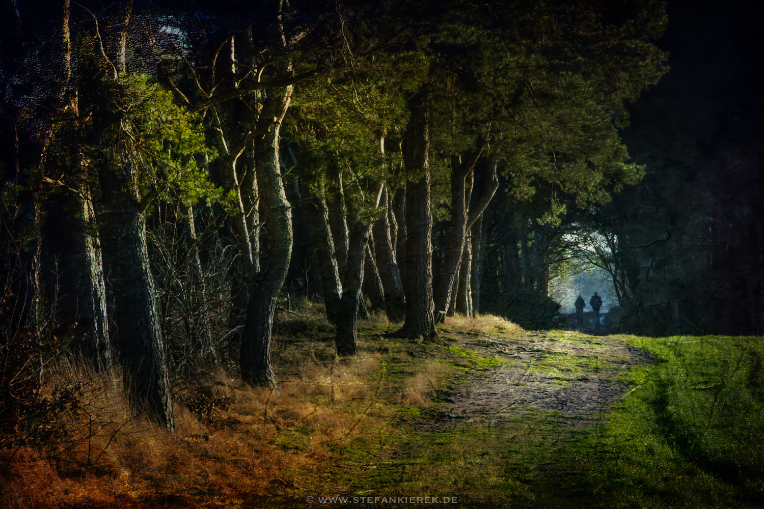 Canon EOS M3 sample photo. Walk to the next year photography