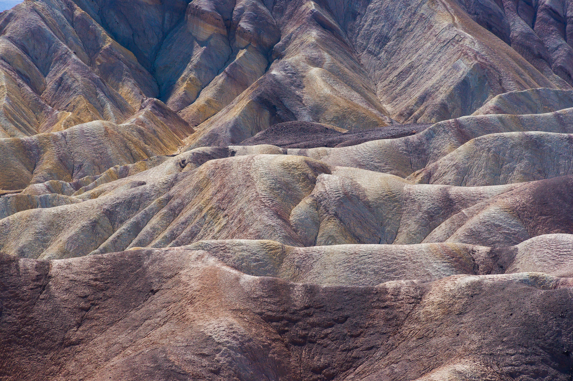 Minolta AF 80-200mm F2.8 HS-APO G sample photo. Artist pallet photography