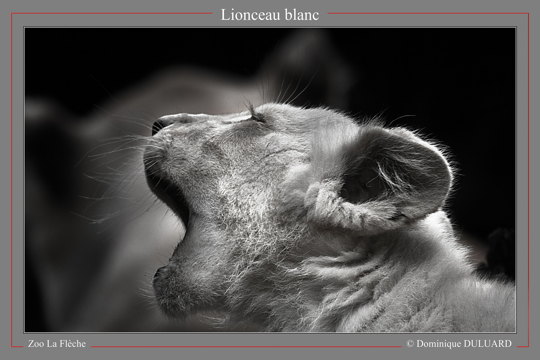 Canon EF 100-400mm F4.5-5.6L IS USM sample photo. 2014-09-05 lafleche 015.jpg photography