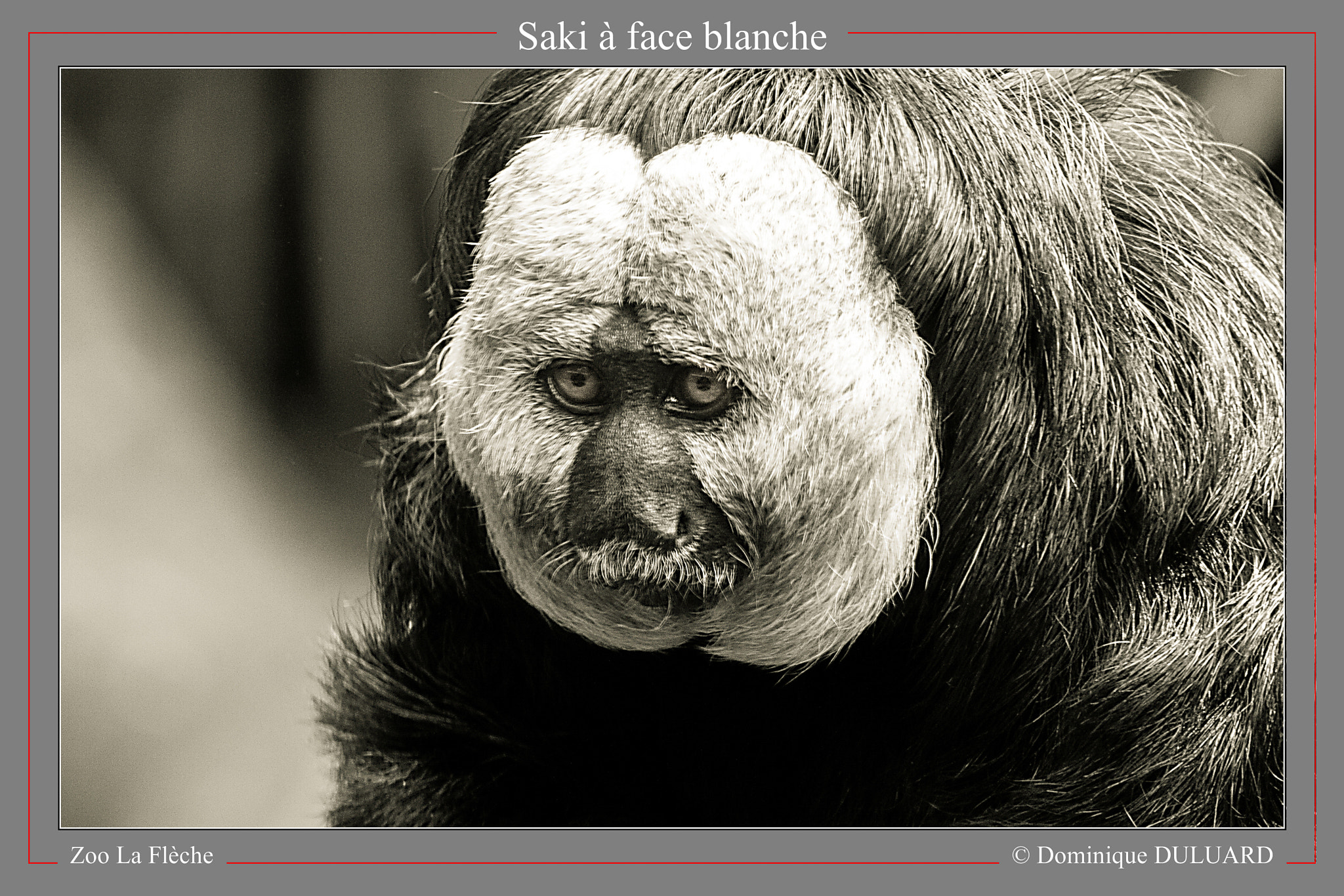Canon EF 100-400mm F4.5-5.6L IS USM sample photo. 2014-09-05 lafleche 149.jpg photography