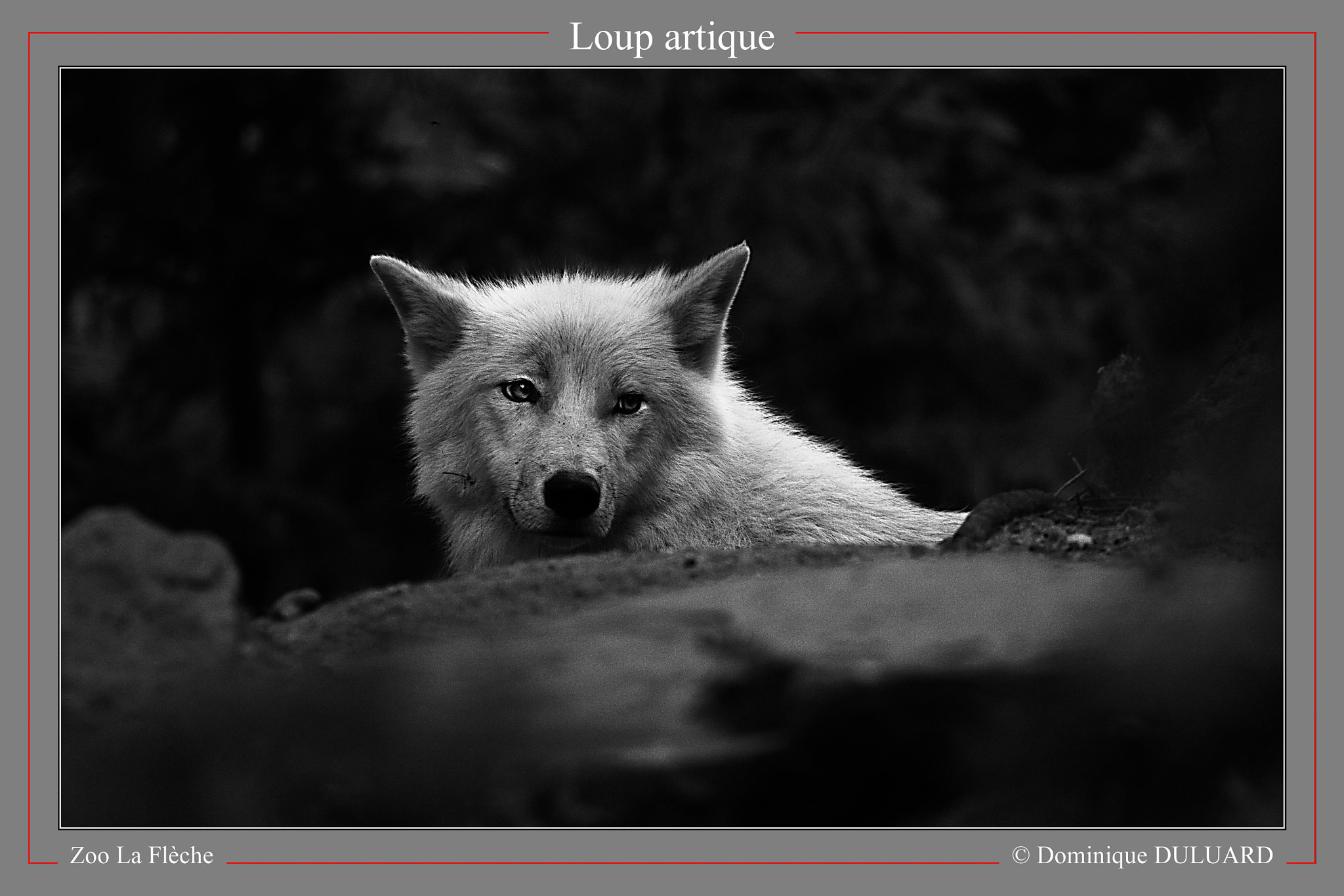 Canon EF 100-400mm F4.5-5.6L IS USM sample photo. 2014-09-05 lafleche 306.jpg photography