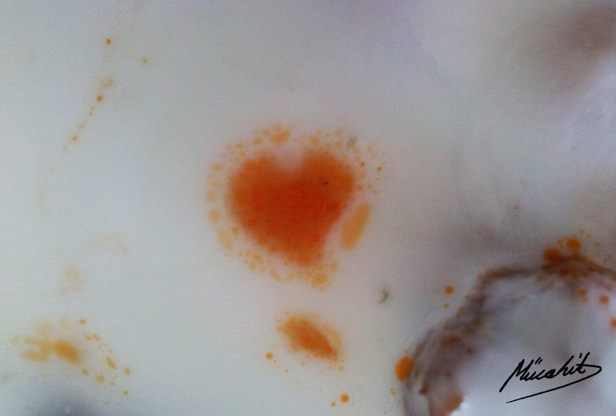 LG P760 sample photo. Her yerde aşk.. love is everywhere.. photography